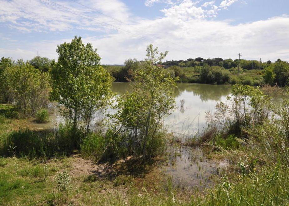 Laghetto ai pescasportivi il progetto è fermo al palo 
