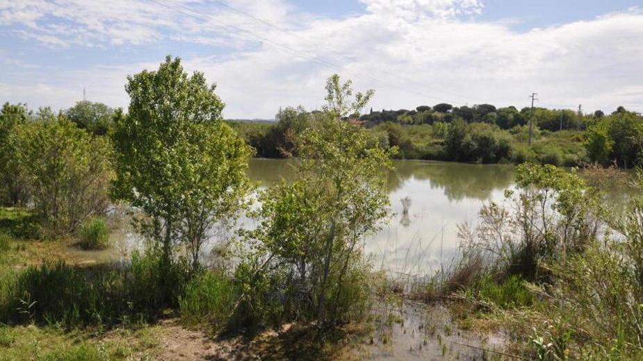 Laghetto ai pescasportivi il progetto è fermo al palo