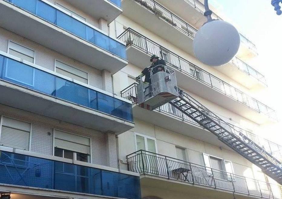 Gabbiano in trappola salvato dai pompieri