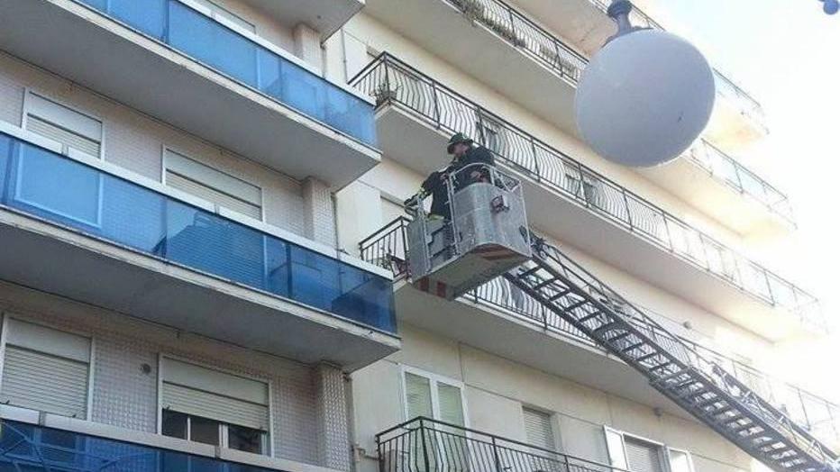 Gabbiano in trappola salvato dai pompieri