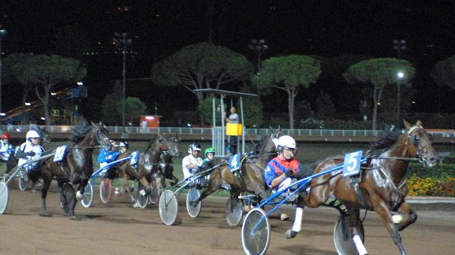 Fusione con la Cogemat per rafforzare la posizione