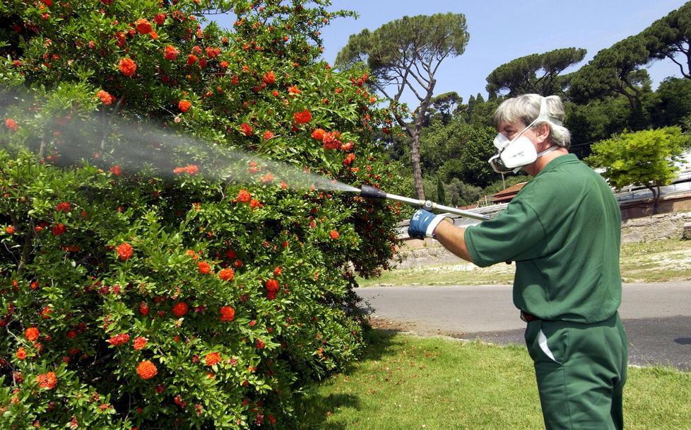 Un intervento di disinfestazione contro le zanzare
