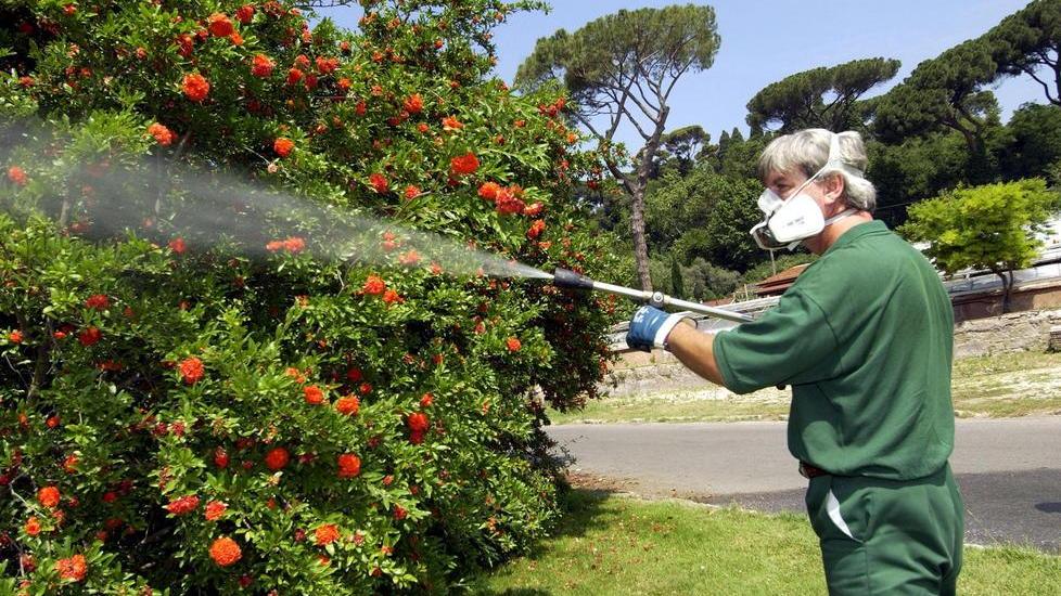Un intervento di disinfestazione contro le zanzare