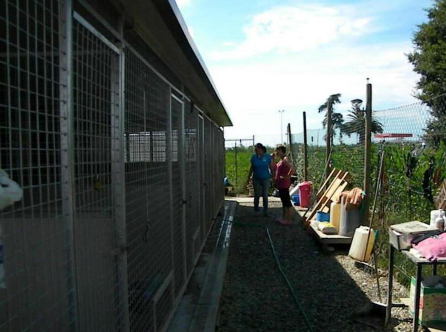 Il canile privato di Nodica sarà rimosso entro agosto 