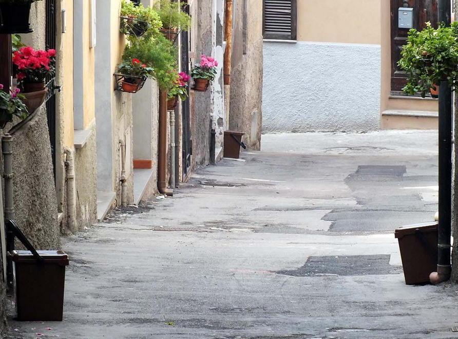 Distribuzione dei kit in corso Porta a porta pure a Procchio