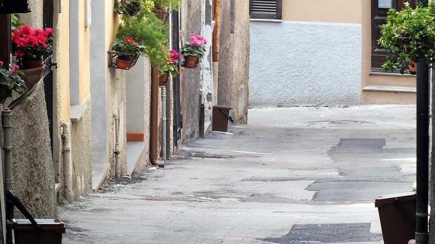 Distribuzione dei kit in corso Porta a porta pure a Procchio