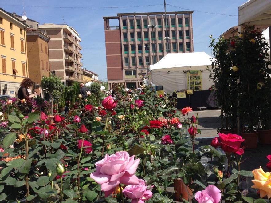 Le Ferrari d’epoca sfilano tra i fiori 