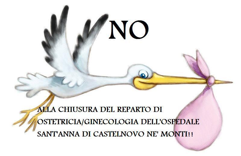 Un comitato per salvare l'ostetricia del Sant'Anna