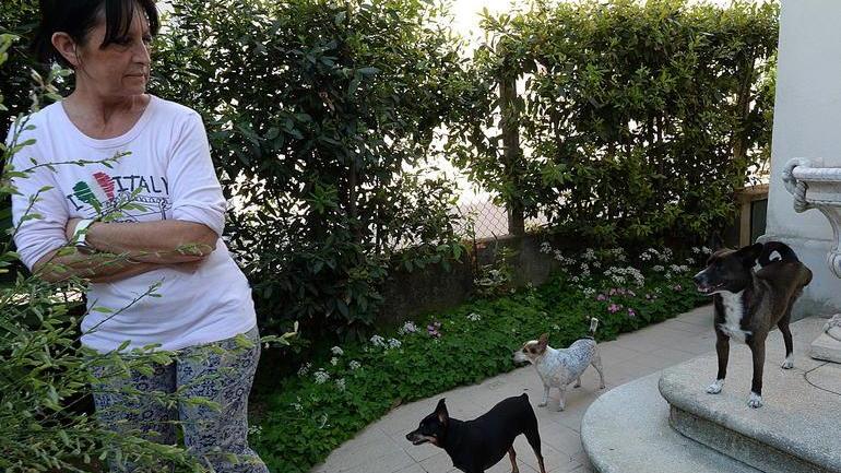 Addormentano i cani e rubano in casa in pieno giorno