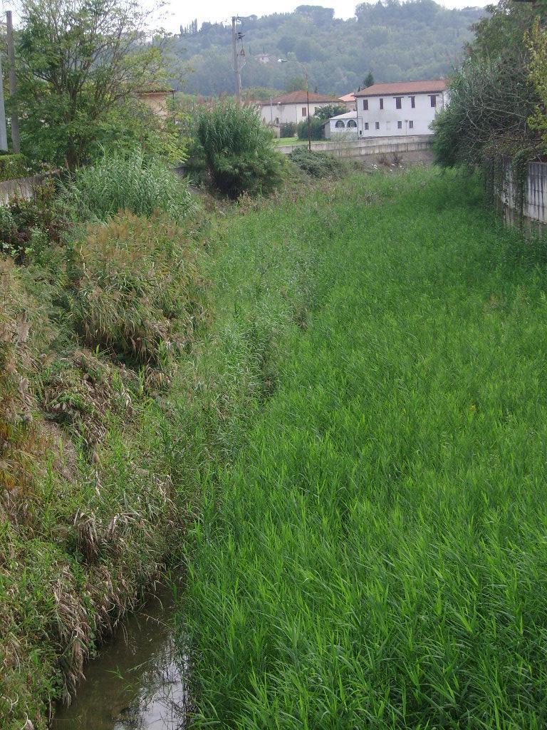 Terreni incolti da pulire per evitare le multe 