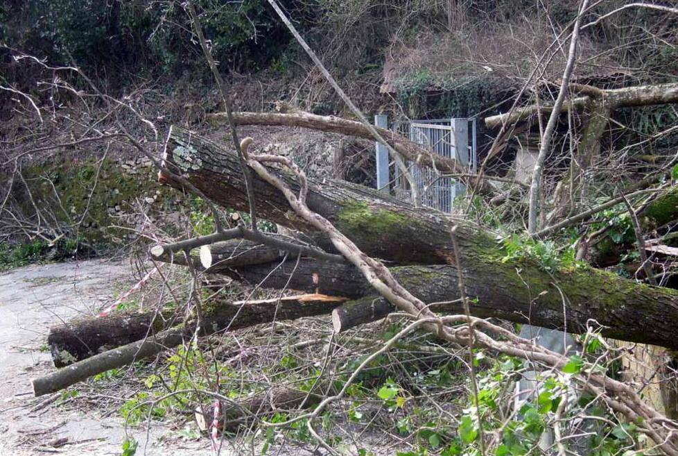 Sos degli abitanti di via Colle Tondo «Siamo abbandonati»
