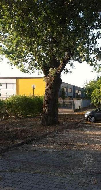 Per divertirsi appiccano incendio ai “piumini”