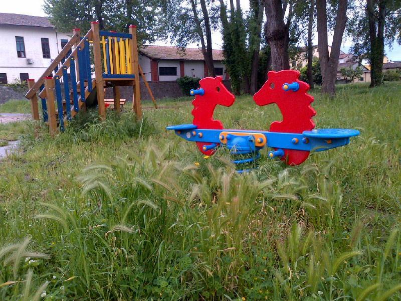 erba alta in un parco pubblico