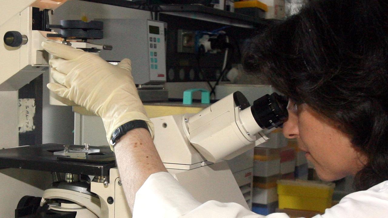 Analisi di laboratorio (foto d'archivio)