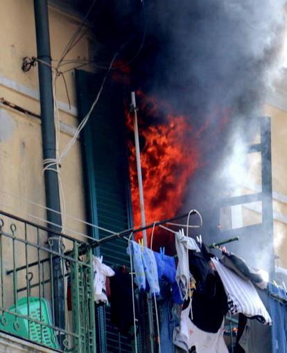 Rogo in un appartamento un cane salvato dal fuoco 