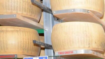 Reggiano, la produzione in calo