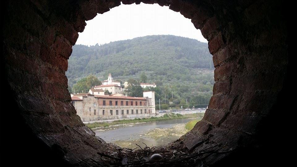 Il Bisenzio visto dall'interno del Cavalciotto