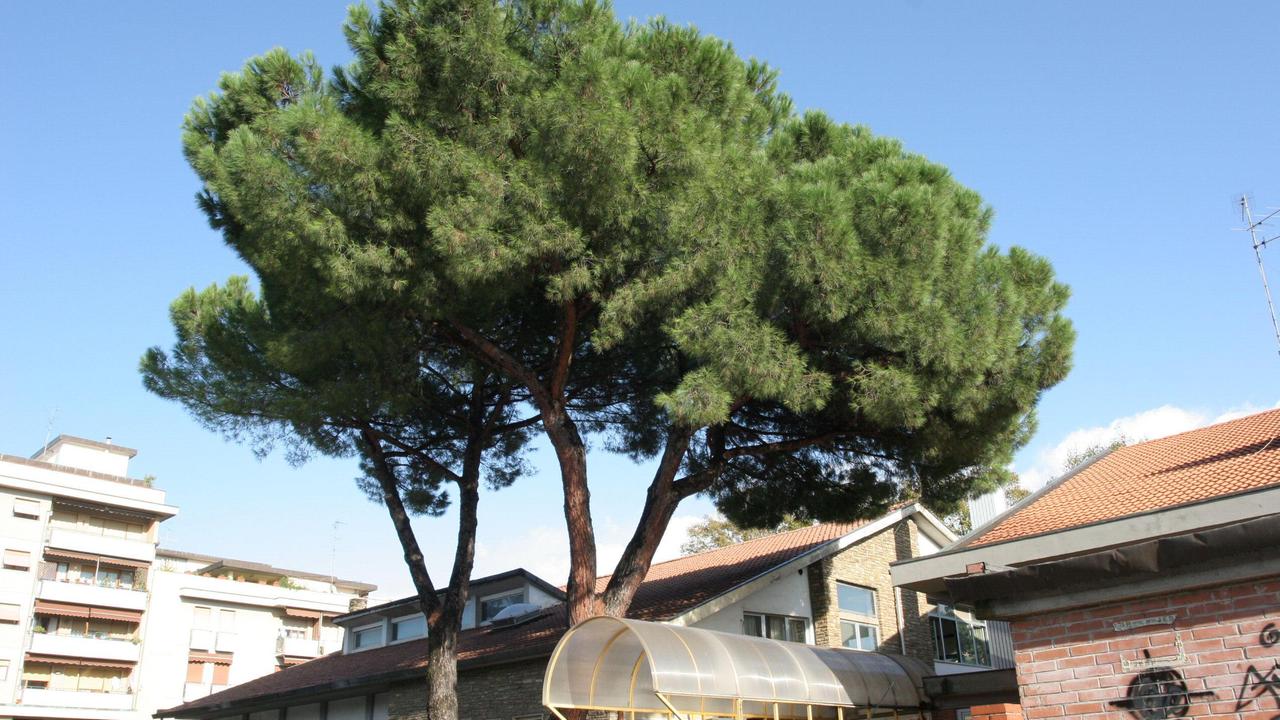 La scuola elementare Santa Gonda