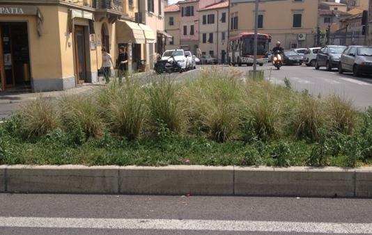 Parchi, aiuole, marciapiedi crescono erbacce e proteste 