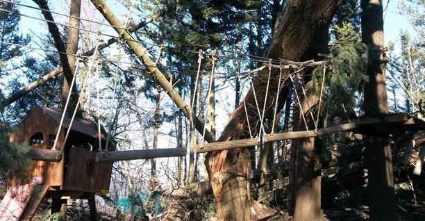 Dalla Provincia 150mila euro per riparare i danni del vento