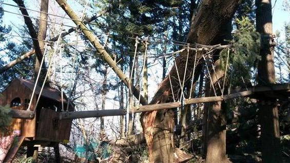 Dalla Provincia 150mila euro per riparare i danni del vento