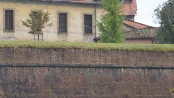 Commissione agile: ci sarà di sicuro Tani, escluso il sindaco