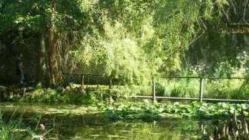 Rinasce la biblioteca dell’Orto botanico