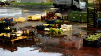 Piove alle Jare, grossisti sulle barricate