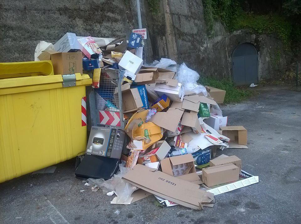 Rifiuti abbandonati a Carrara