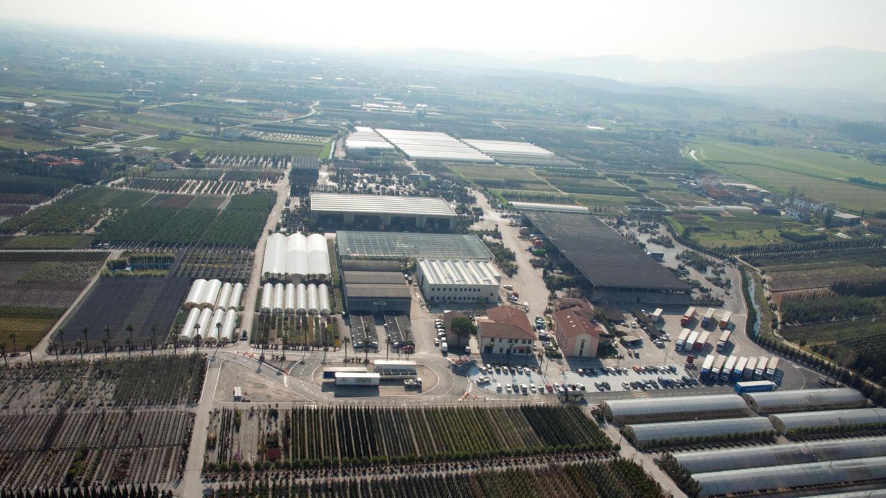 La Vannucci Piante di PIuvica