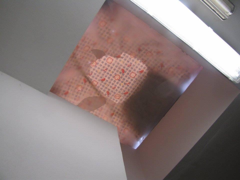 Vandali devastano la scuola di Vicarello 