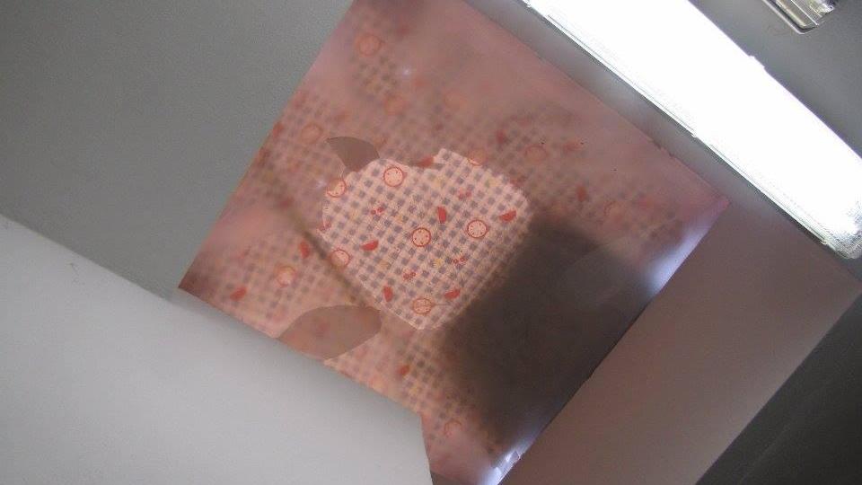 Vandali devastano la scuola di Vicarello