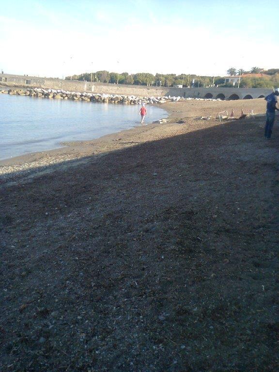 La spiggia dei Tre Ponti liberata dalle alghe
