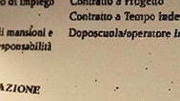 Assessore con laurea nel curriculum ma all’ateneo quel titolo non esiste