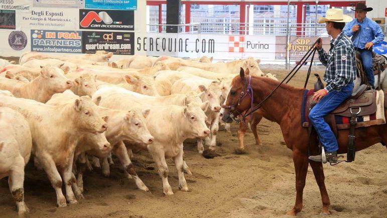 Atmosfere west in Fiera con il Salone del cavallo
