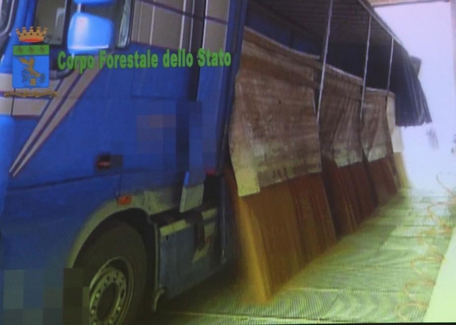 Grano contaminato, via alla perizia 