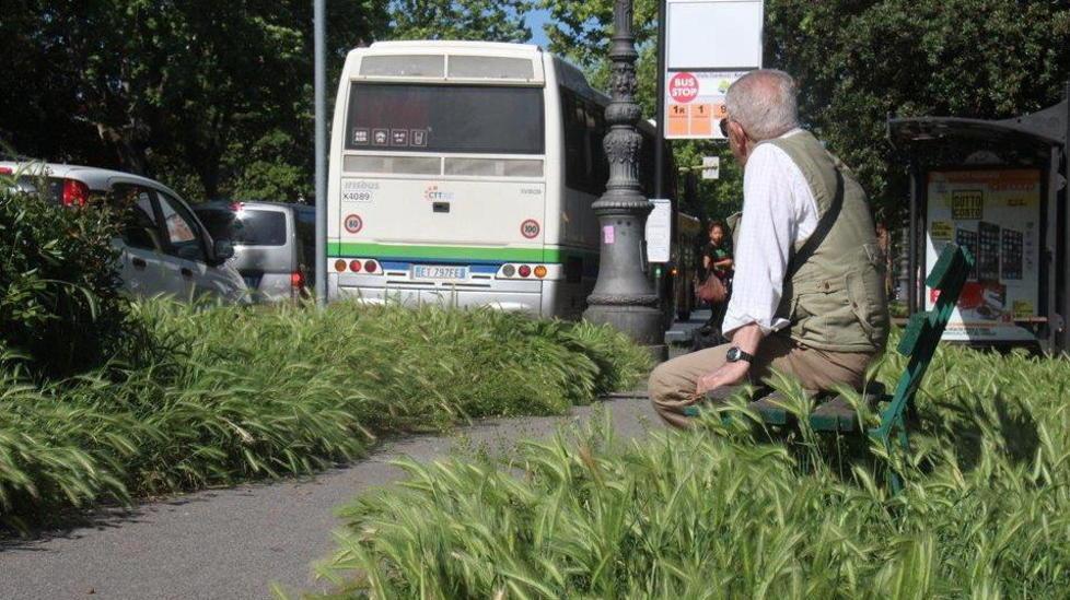 Il bus si aspetta tra l’erba altissima