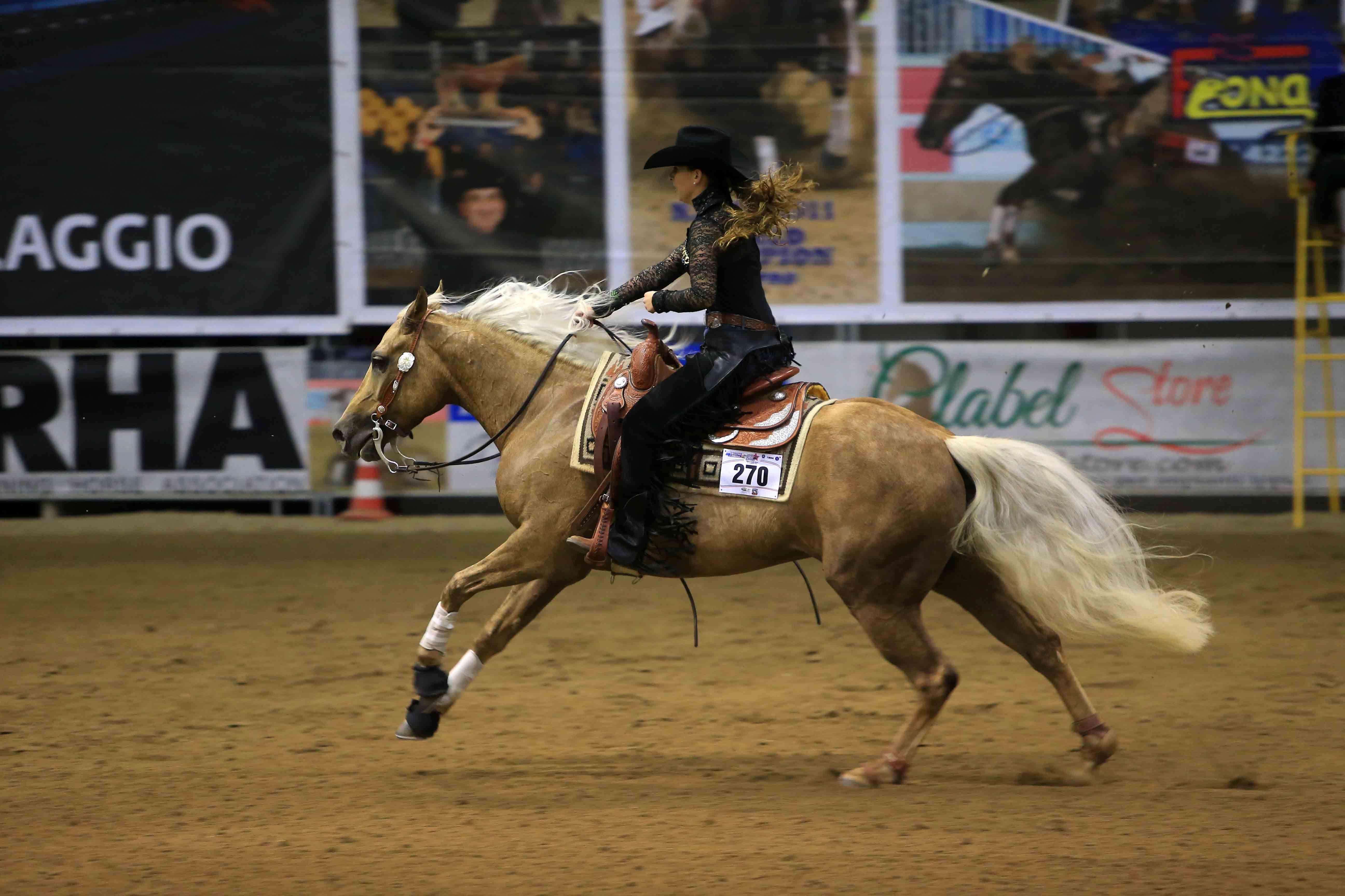Il Salone del cavallo emigra a Cremona 