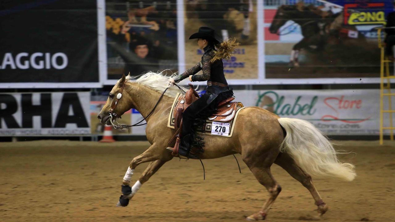 Il Salone del cavallo emigra a Cremona