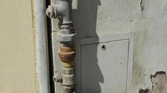Invasione di topi, subito la derattizzazione
