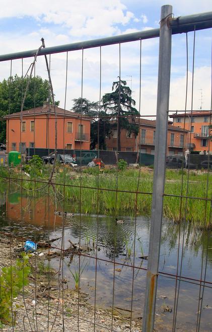 Via Murazzo sopralluogo sulla palude