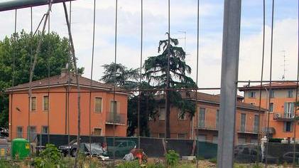 Via Murazzo sopralluogo sulla palude