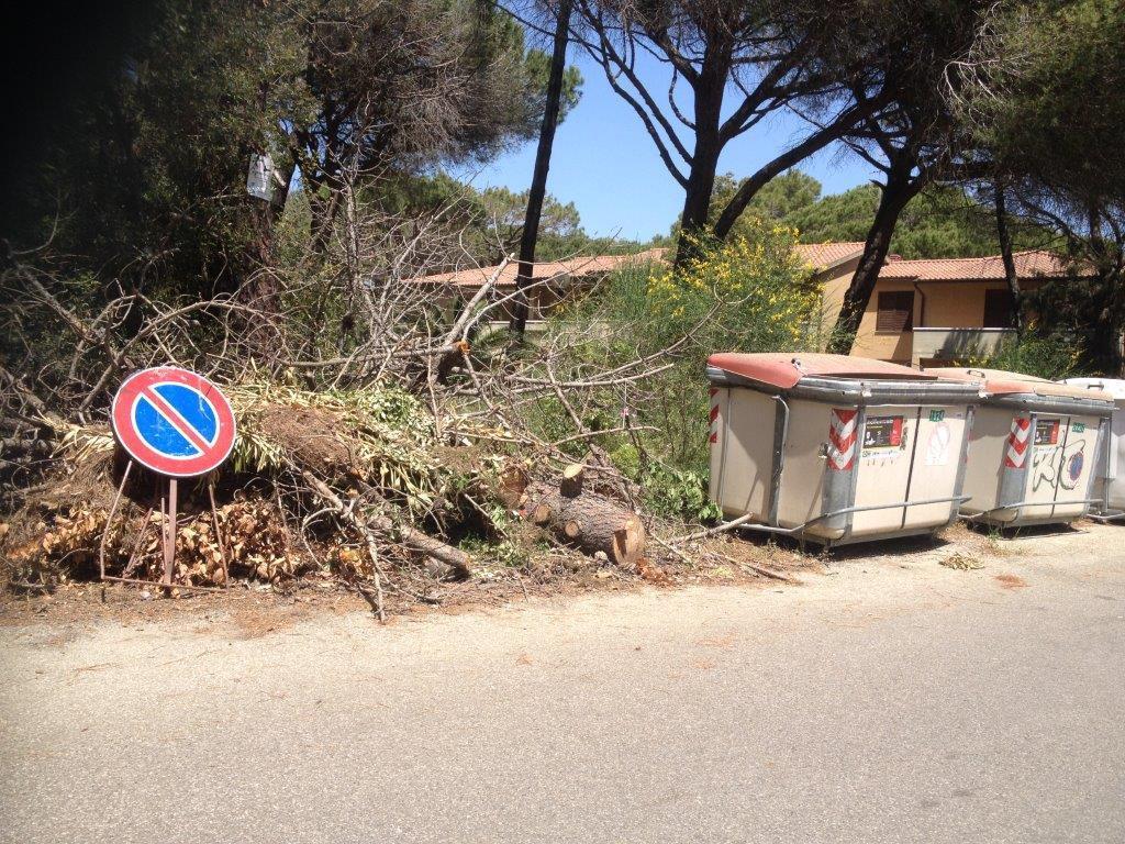 Legna accatastate a Principina