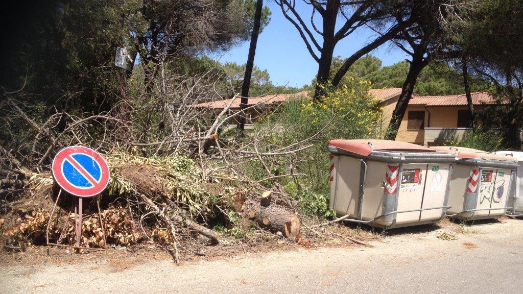 Legna accatastate a Principina
