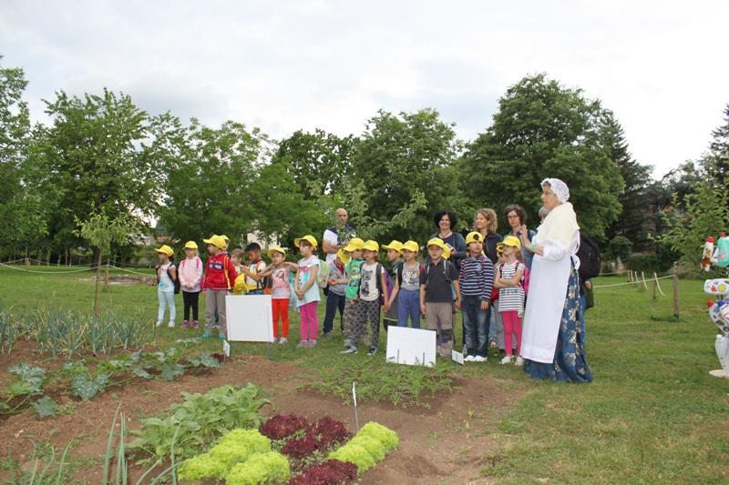 Premiati gli orti migliori creati dalle scuole