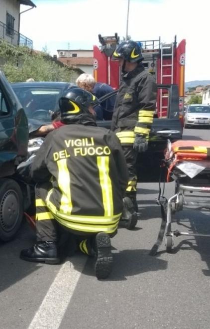Contro il muro per evitare un gatto 