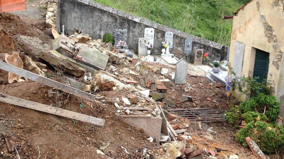 Nessuno toglie gli alberi finiti addosso alle tombe