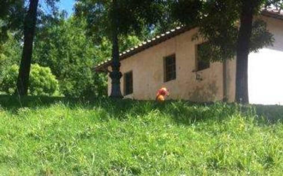 Sfalcio dell’erba sulle Mura 