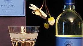 Vermentino re di Castelnuovo