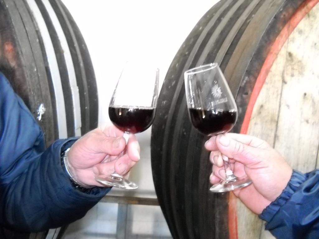 Tre bicchieri, 13 premi: è record per la Sardegna